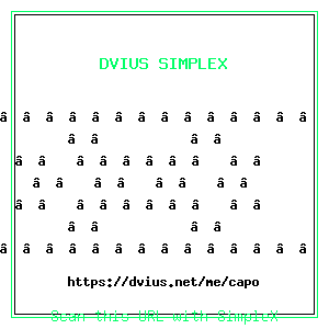 DVIUS Terminal QR Code for capo